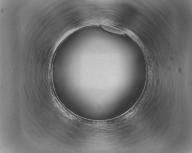 X0000053001052200507291637