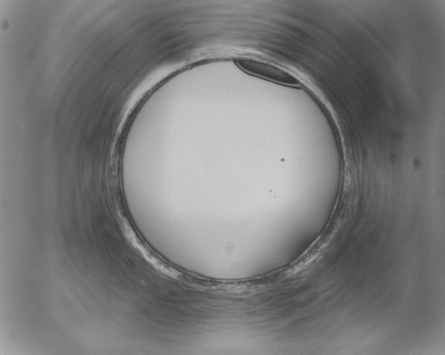 X0000053001053200507291637