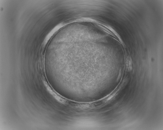 X0000053001054200507291637