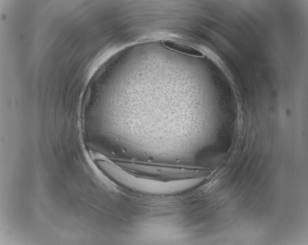 X0000053001055200507291637