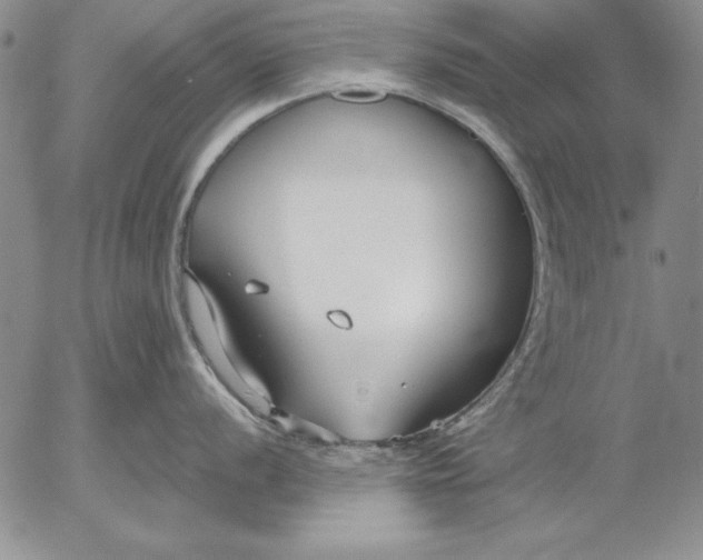 X0000053001056200507291637