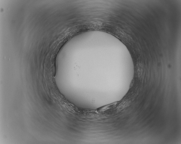 X0000053001057200507291637