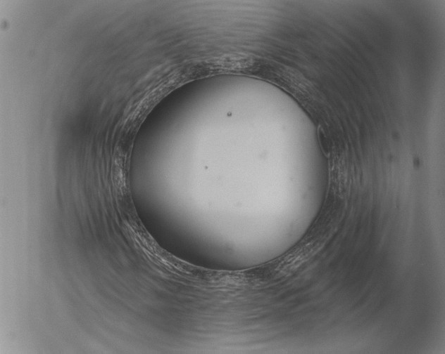 X0000053001058200507291637