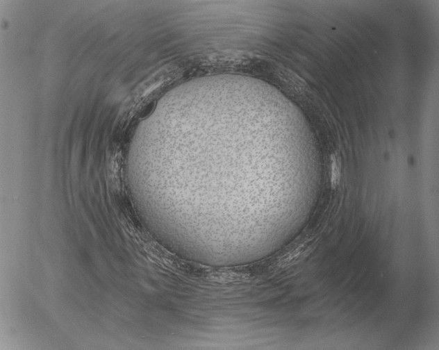 X0000053001059200507291637