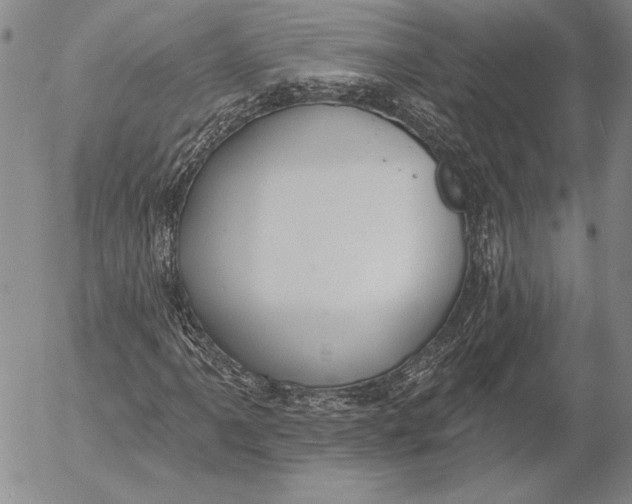 X0000053001061200507291637