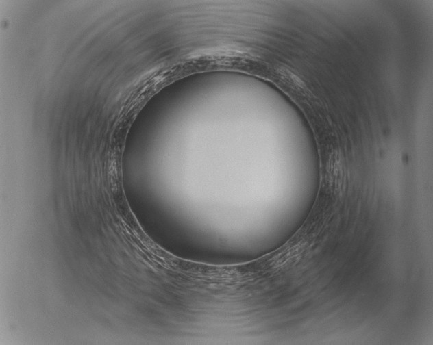 X0000053001062200507291637