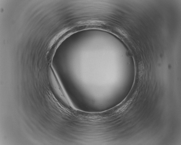 X0000053001066200507291636