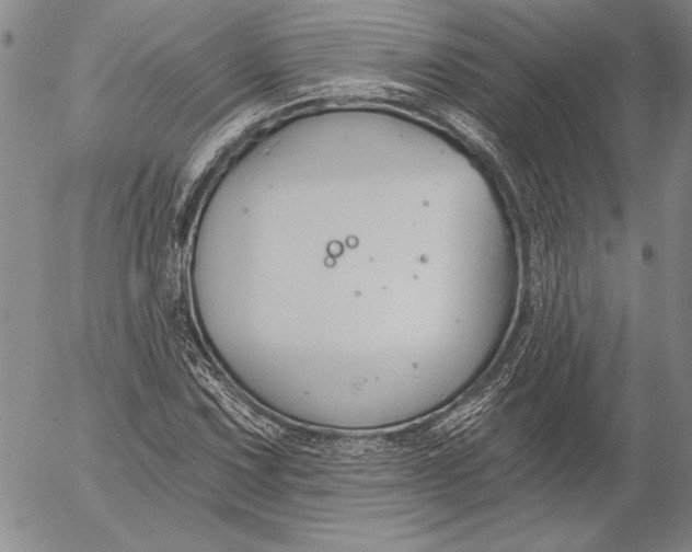 X0000053001067200507291636