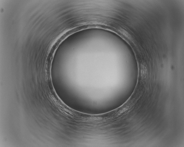 X0000053001068200507291636