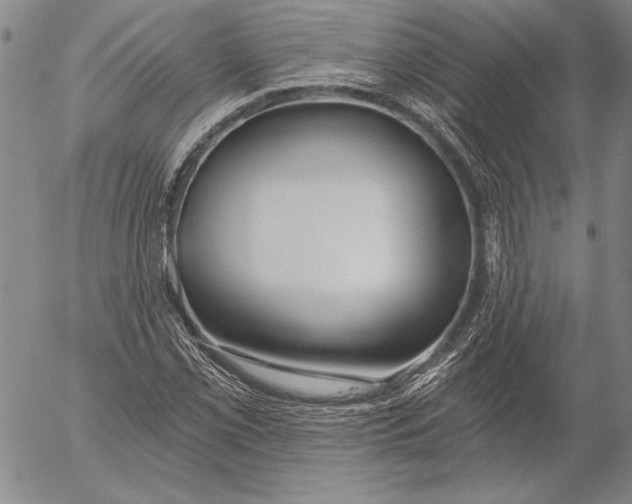 X0000053001069200507291636