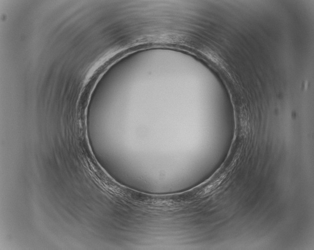 X0000053001070200507291636