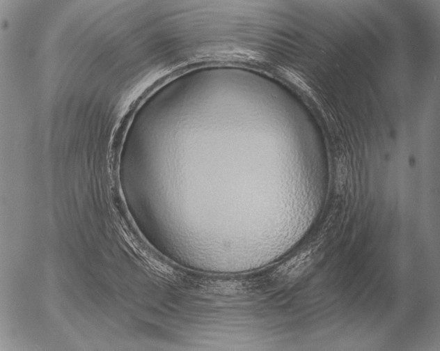 X0000053001071200507291636