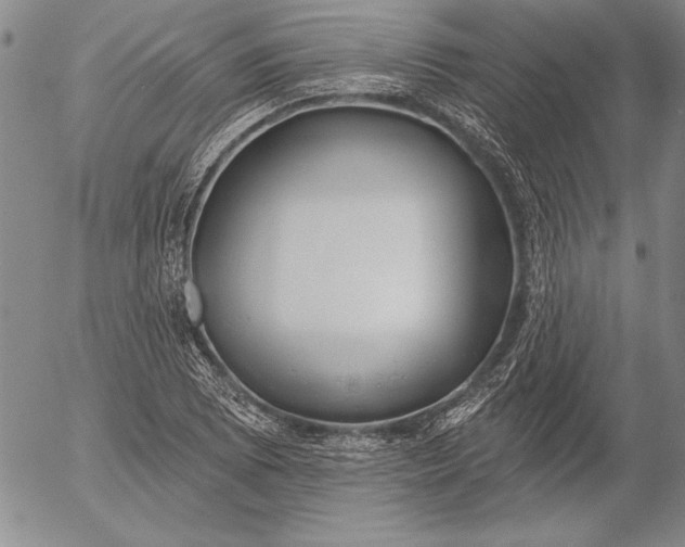 X0000053001073200507291636