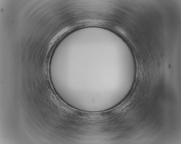 X0000053001074200507291636