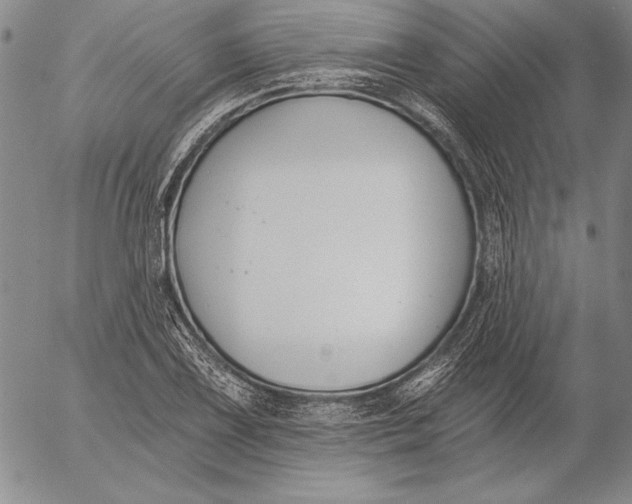 X0000053001075200507291636