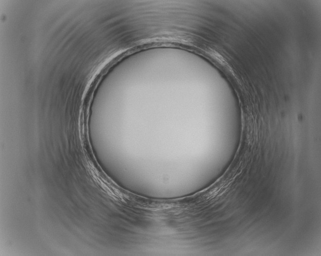 X0000053001076200507291636