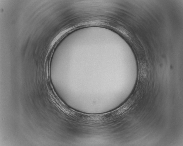 X0000053001078200507291636