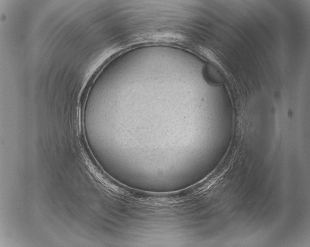 X0000053001079200507291636