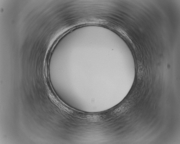 X0000053001080200507291636