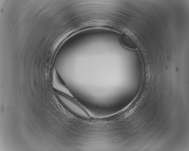 X0000053001081200507291636