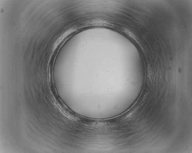 X0000053001082200507291636