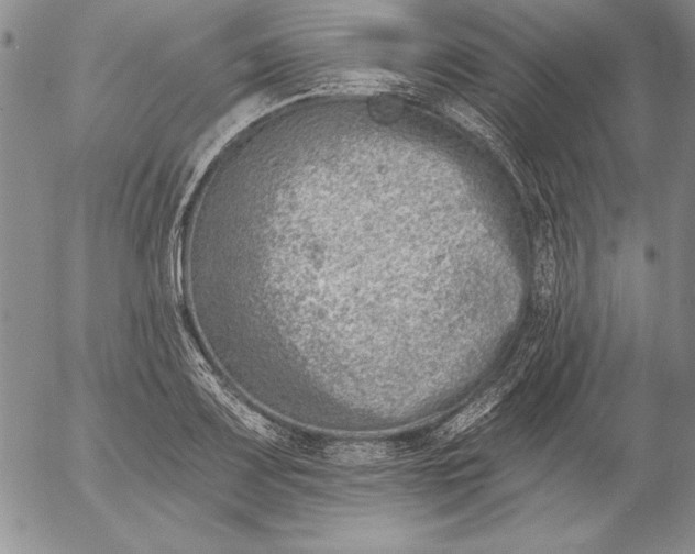 X0000053001083200507291636