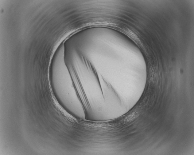 X0000053001084200507291636