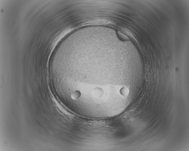 X0000053001087200507291636