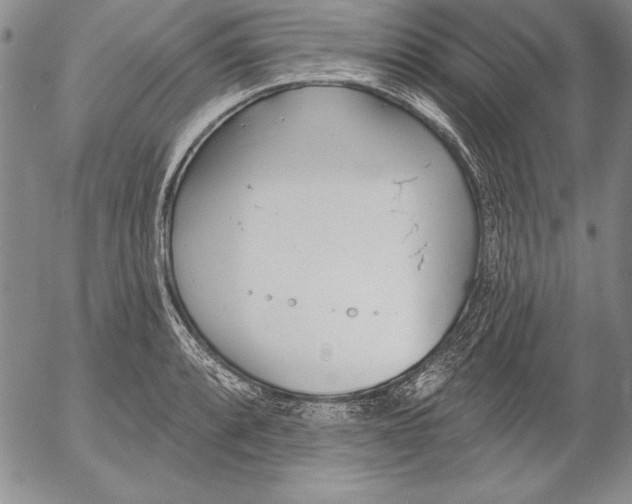 X0000053001088200507291636