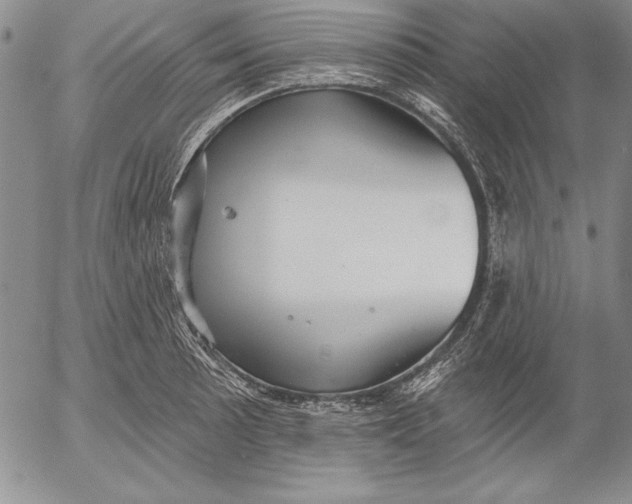 X0000053001089200507291636