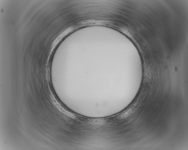 X0000053001090200507291636