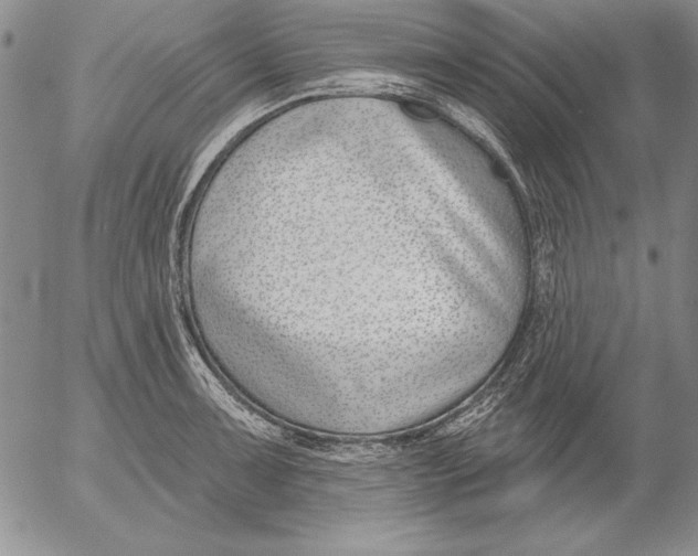 X0000053001091200507291636