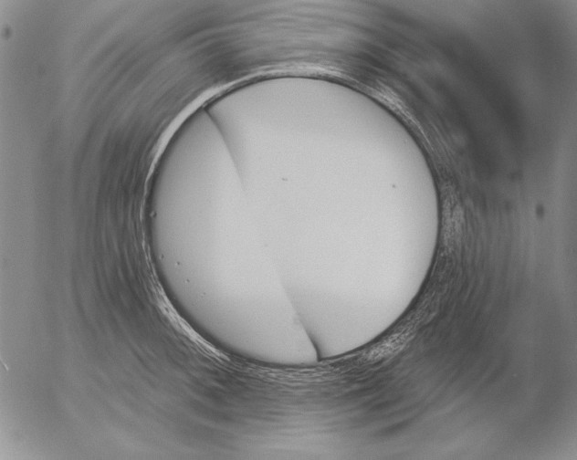 X0000053001092200507291636