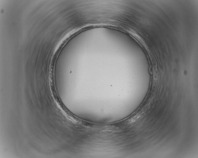 X0000053001093200507291636