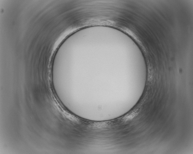 X0000053001094200507291636