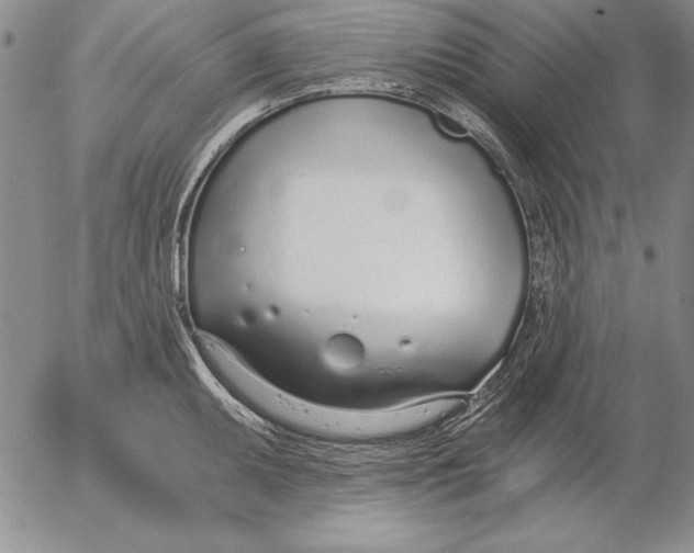 X0000053001095200507291636