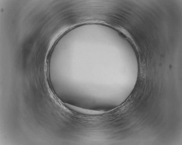 X0000053001096200507291636