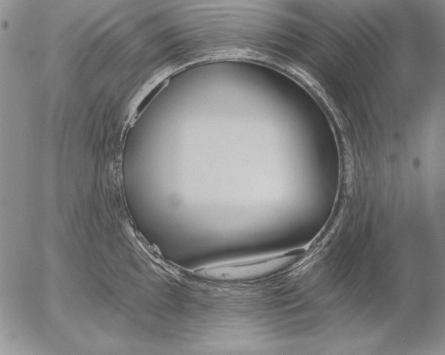 X0000053001097200507291636