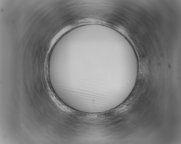 X0000053001098200507291636