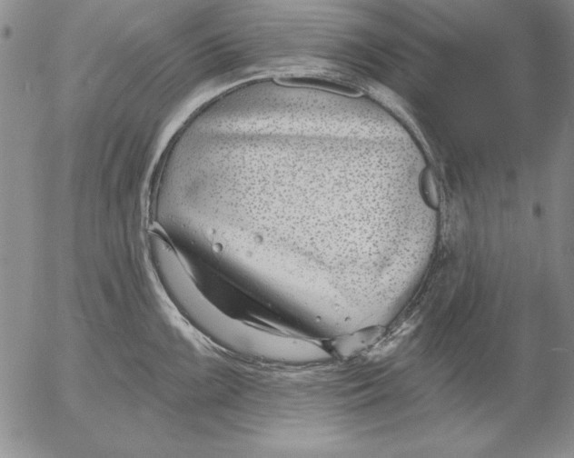 X0000053001099200507291636