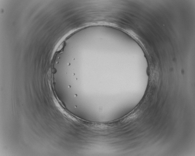 X0000053001100200507291636