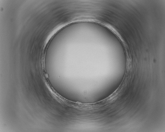 X0000053001101200507291636