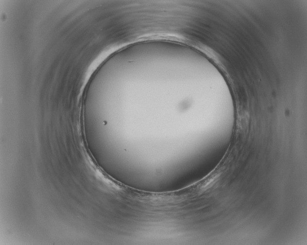 X0000053001102200507291636