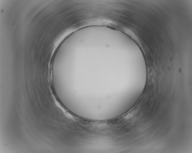 X0000053001103200507291636