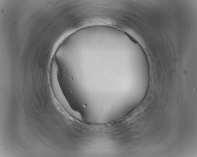 X0000053001104200507291636