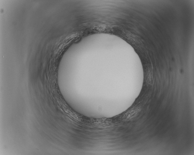 X0000053001105200507291635