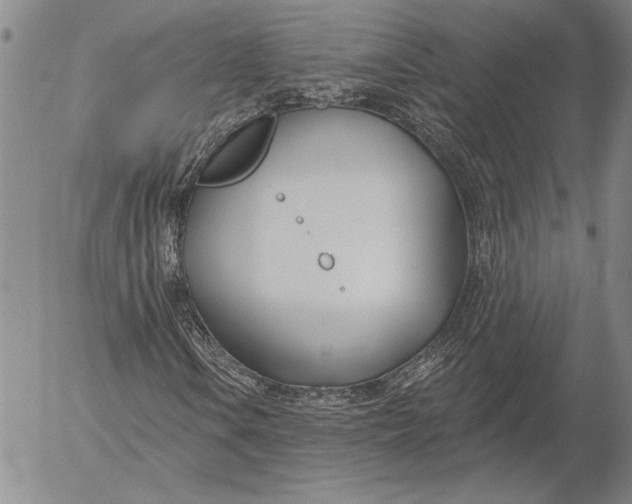 X0000053001106200507291635