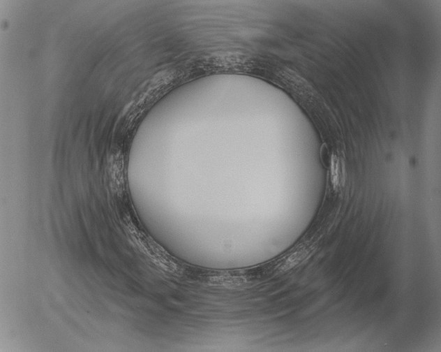 X0000053001107200507291635