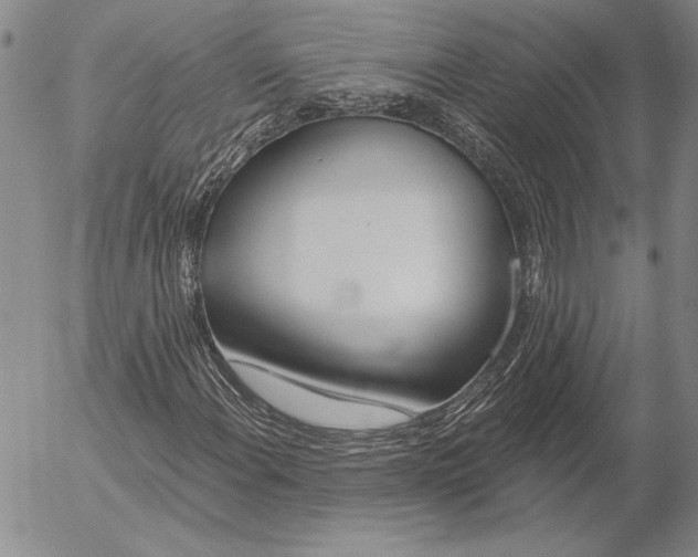 X0000053001108200507291635