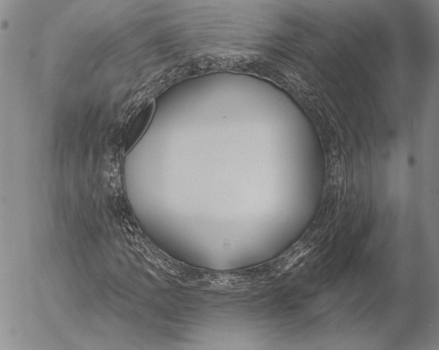 X0000053001109200507291635